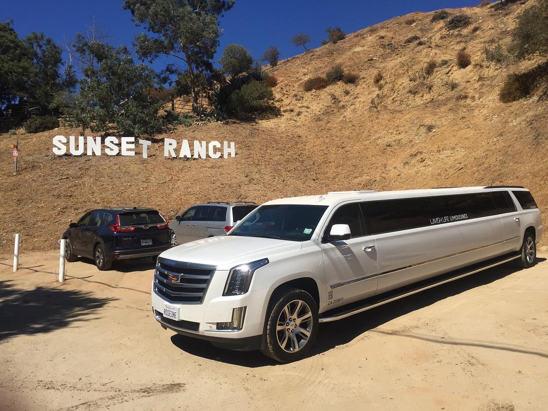 Lavish Life limousine service